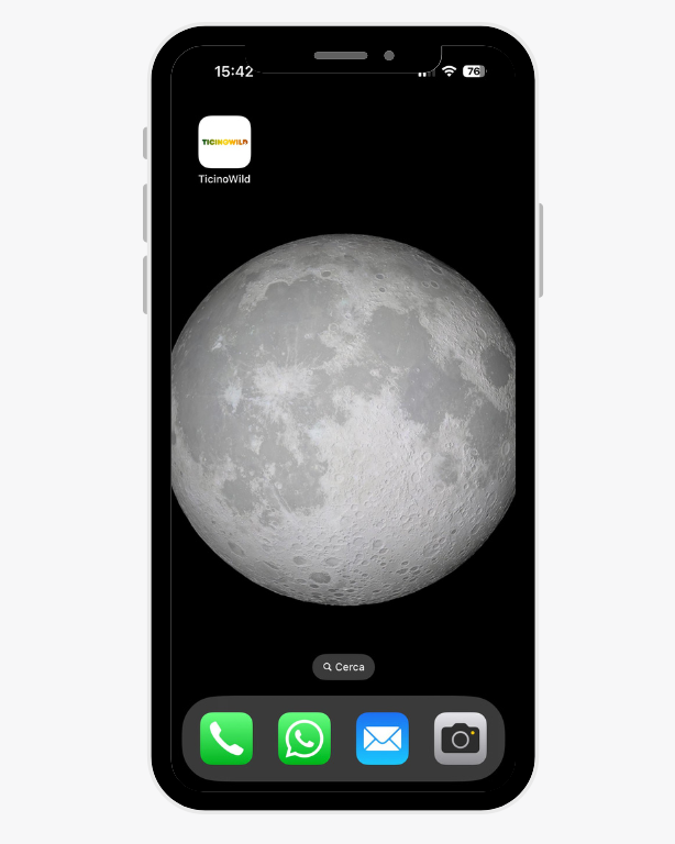Smartphone App